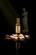 Venus — Concepto artístico con referencias a la diosa Venus, pétalos dorados y escultura clásica. Aureum Parfum.