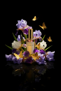 Aurora — Frasco Aureum rodeado de flores de iris moradas y mariposas doradas sobre fondo negro.
