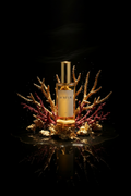 Corallum — Frasco Aureum rodeado de ramas de coral dorado y rojo sobre fondo negro, iluminación dramática.